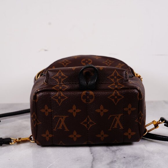 Louis Vuitton Mini Palm Springs Backpack Monogram - Picture 5 of 5